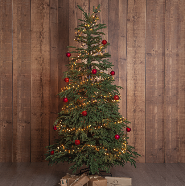 Julgran Edane | 210cm [Star Trading] 501913 - 2