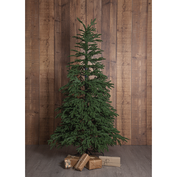 Julgran Edane | 210cm [Star Trading] 501913 - 3