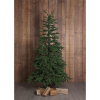Julgran Edane | 210cm [Star Trading] 501913 - 3