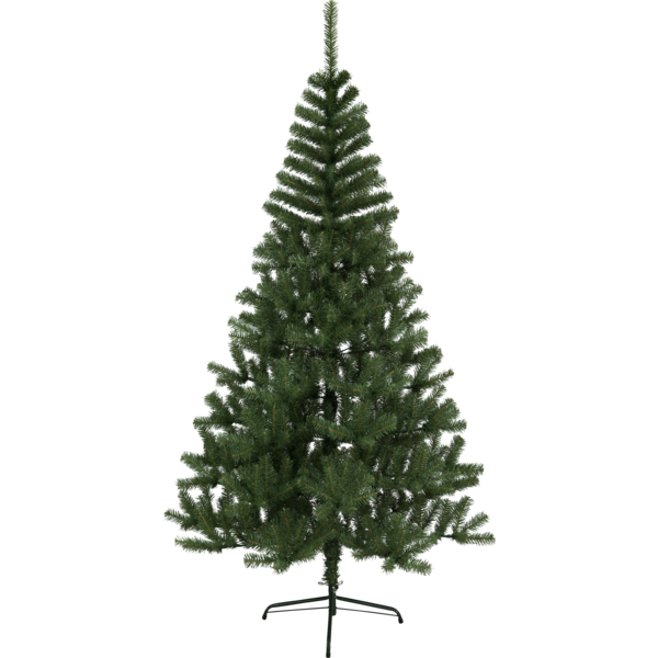 Julgran Kanada | 210cm [Star Trading] 501918 - 1