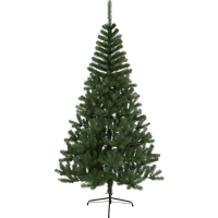 Julgran Kanada | 210cm [Star Trading] 501918