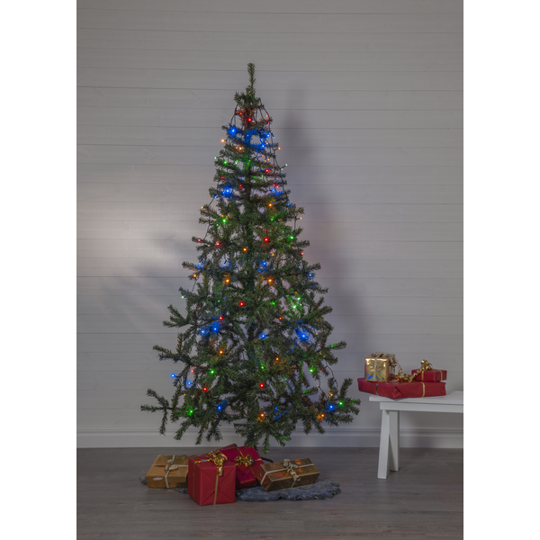 Julgran Kanada | 210cm [Star Trading] 501918 - 2