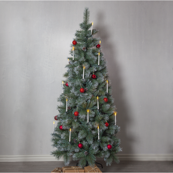 Julgran Skoghall | 210cm [Star Trading] 361717 - 2