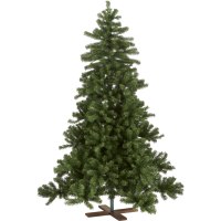 Julgran Vidaby 200cm [Star Trading] 501915