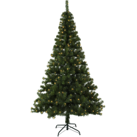Julgran med LED | Ottawa 210cm [Star Trading] 361708