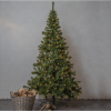 Julgran med LED | Ottawa 210cm [Star Trading] 361708 - 2