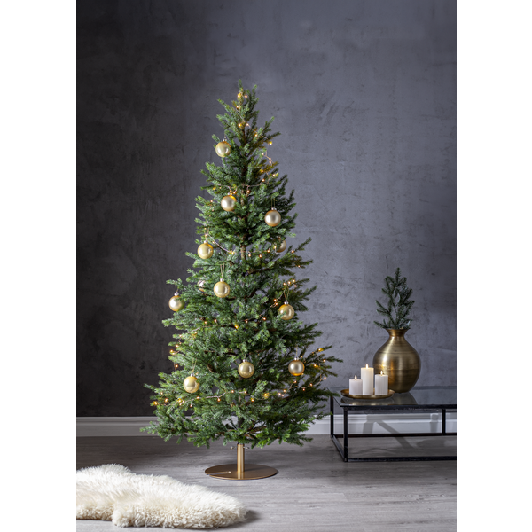 Julygransfot Stadig | guld [Star Trading] 501872 - 4