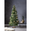 Julygransfot Stadig | guld [Star Trading] 501872 - 4