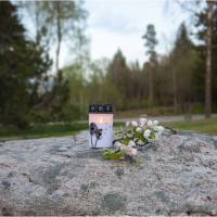 LED Gravljus Maskros 12cm | vit [Star Trading] 501717