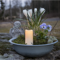 LED Gravljus Serene 10cm | vit [Star Trading] 500698