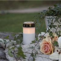 LED Gravljus Serene 12cm | vit [Star Trading] 500699