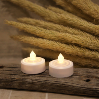 LED Värmeljus Paulo | 2.9cm | vit 2st [Star Trading] 361236