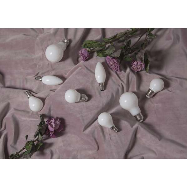 LED lampa E27 | G45 opal | 2700K | 2W (16W) [Star Trading] 361848 - 2