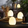 LED oval nattlampa | RGB+W [Star Trading] 361729 - 2