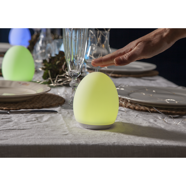 LED oval nattlampa | RGB+W [Star Trading] 361729 - 3