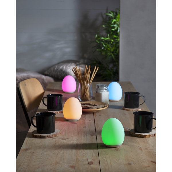 LED oval nattlampa | RGB+W [Star Trading] 361729 - 5