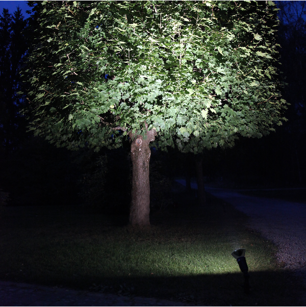 LED spotlight E27 | PAR38 svart | utomhus | 4000K | 15W [Star Trading] 361877 - 2