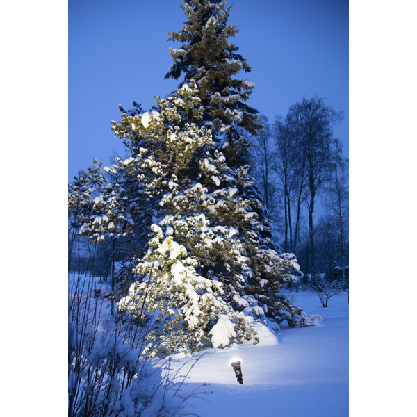 LED spotlight E27 | PAR38 svart | utomhus | 4000K | 15W [Star Trading] 361877 - 3