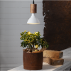 LED växtlampa E27 | PAR38 | vit | 16W [Star Trading] 361871 - 3