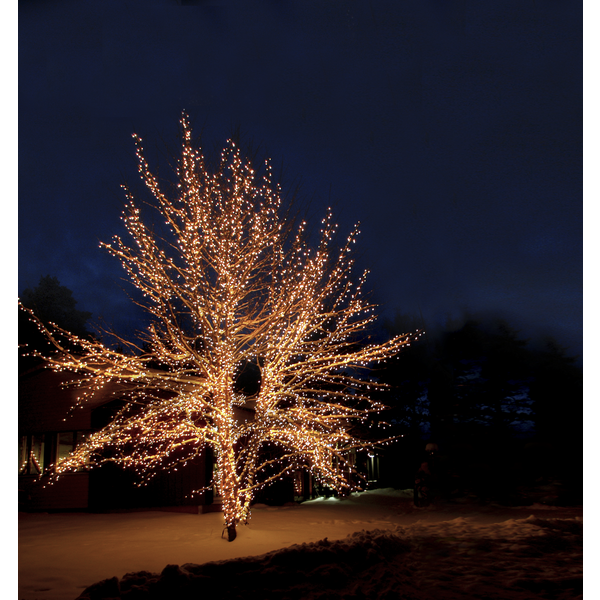 SYSTEM EXPO Ljusslinga 10m 100 lampor EXTRA SLINGA! [Star Trading] 361271 - 4