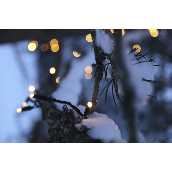 SYSTEM EXPO länkbar ljusslinga 10m 100 lampor [Star Trading] 361424 - 4