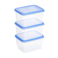 Sunware Frysboxar 1,5L | Sunware Club Cuisine | transparent/blå 3st 76700663 216783