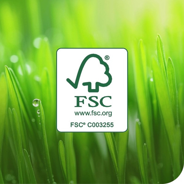 Torkduk på rulle | 500ark | Tork Pre W1/2/3 | turkos SE200501 - 5