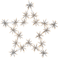 Utomhusdekoration Silhouette Flower Star | 200 LED [Star Trading] 475-14 501863