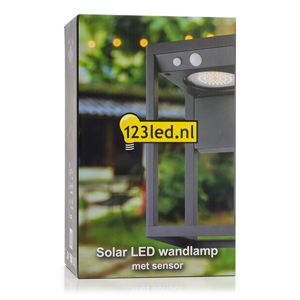 Vägglampa solcell | Berkshire | IP54 | sensor | svart [123ink] LDR08541 - 5