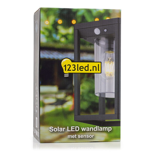 Vägglampa solcell | Kensington | IP54 | sensor | svart [123ink] LDR08542 - 5
