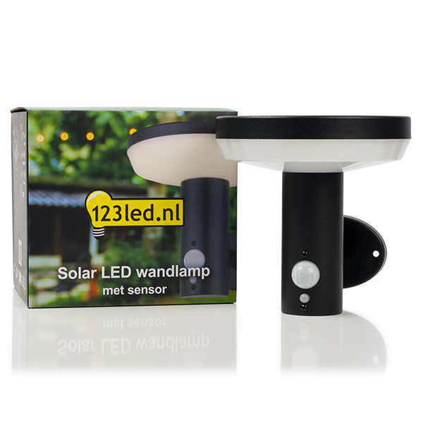 Vägglampa solcell | Notting Hill | IP54 | sensor | svart [123ink] LDR08544 - 2
