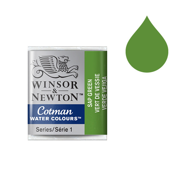 Winsor & Newton Cotman Akvarellfärg 599 Sap Green (halvkopp) 301599 410499 - 1