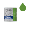 Winsor & Newton Cotman Akvarellfärg 599 Sap Green (halvkopp)