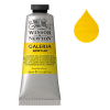 Winsor & Newton Galeria Akrylfärg 120 Cadmium Yellow Medium Hue | 60 ml