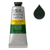 Winsor & Newton Galeria Akrylfärg 311 Hookers Green | 60 ml