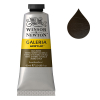 Winsor & Newton Galeria Akrylfärg 554 Raw Umber | 60 ml