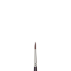 Winsor & Newton Galeria Akrylpensel rund (nr 5) 410246 - 1