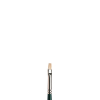 Winsor & Newton Winton Oljepensel platt kort borst (nr 1) 410442 - 1