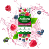 Zoflora allrengöringsmedel koncentrat | Raspberry & Juniper Berry | 500ml  SZO00067 - 2