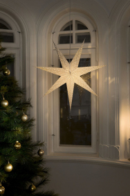 Julstjärnor
